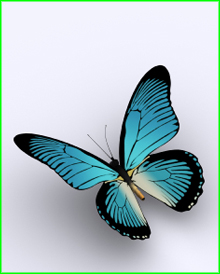 A blue butterfly on a white background